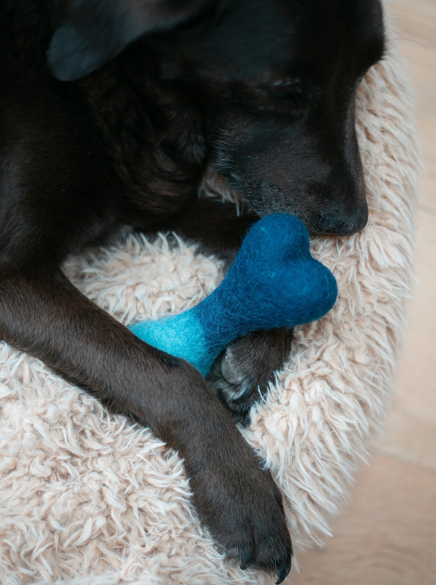 OMBRE WOOLBONE