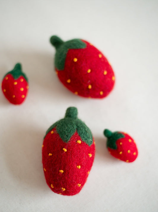 DOGGY STRAWBERRY