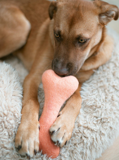 OMBRE WOOLBONE