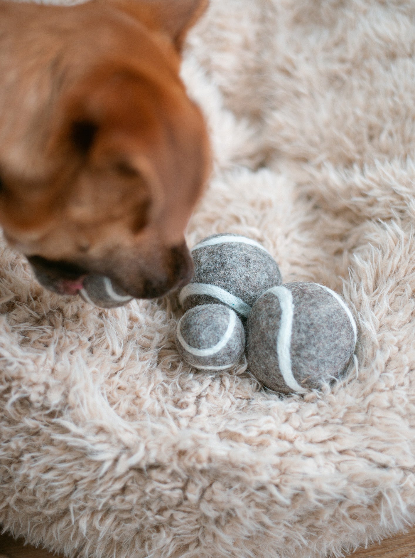WOOL TENNIS BALL