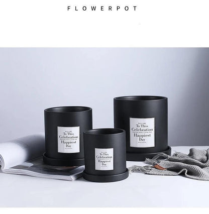 EverVase Planter Collection